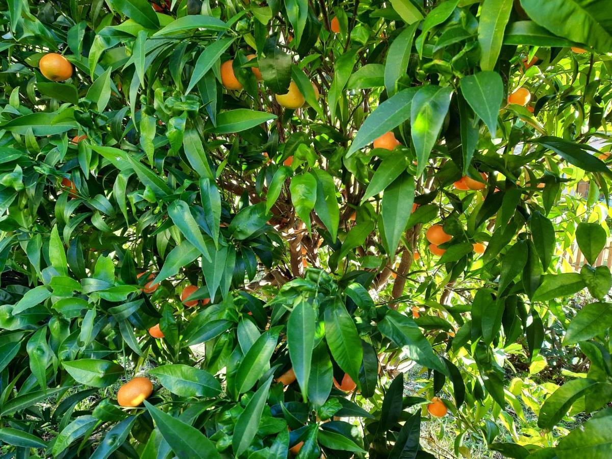 B&B Vignola Levanto Zewnętrze zdjęcie