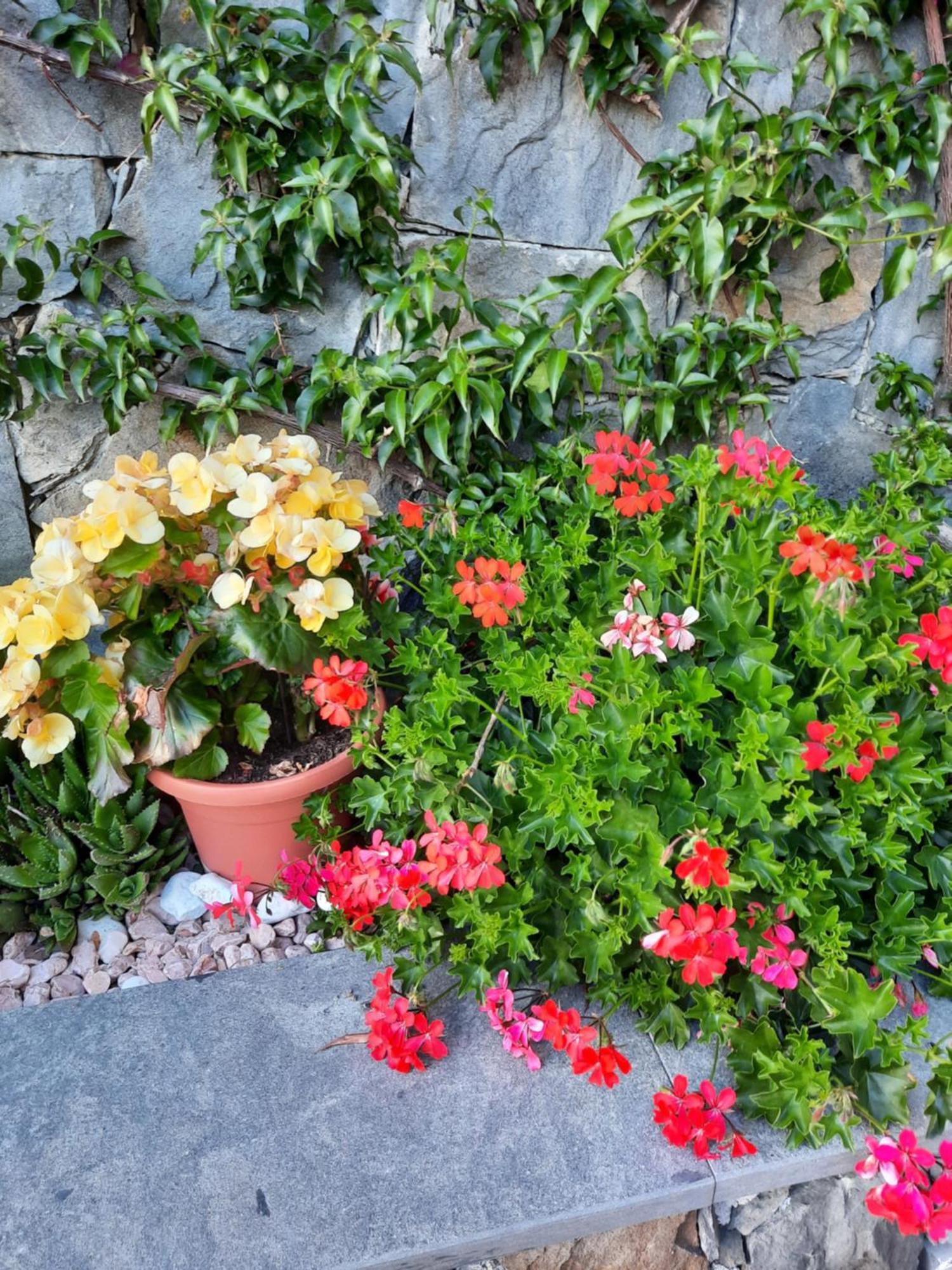 B&B Vignola Levanto Zewnętrze zdjęcie