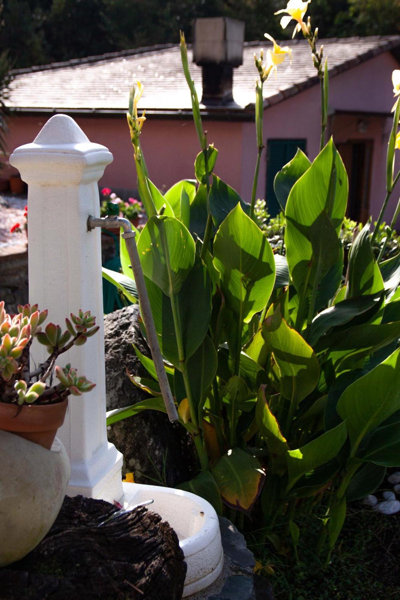 B&B Vignola Levanto Zewnętrze zdjęcie